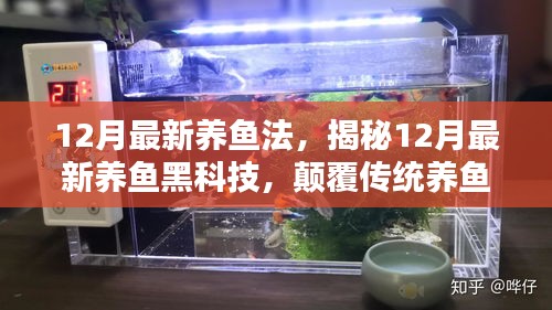 第1696页