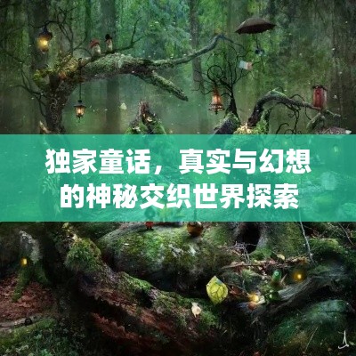 衣不重采