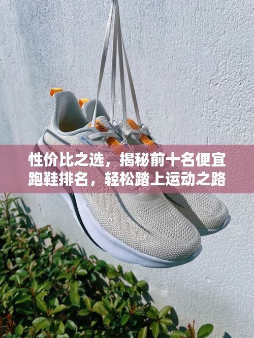 手不释卷