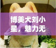 饭来张口