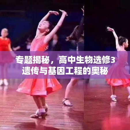 无冬无夏
