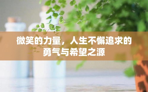 微笑的力量，人生不懈追求的勇气与希望之源