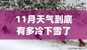 新闻动态 第263页