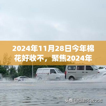 公司简介 第225页