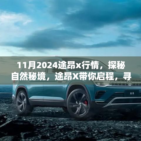 厂房环境 第221页