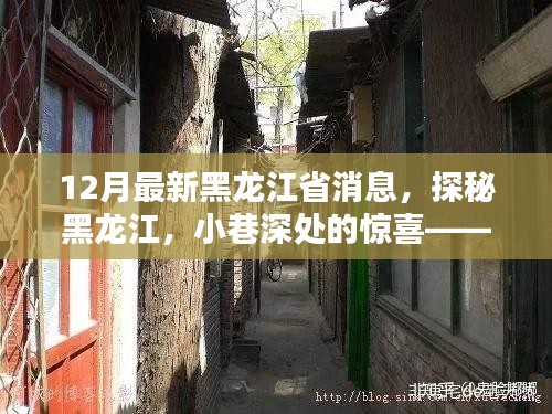 在线留言 第245页