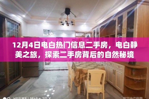 在线留言 第239页