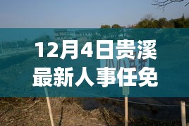 喜出望外 第4页