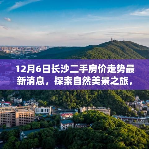 联系我们 第213页