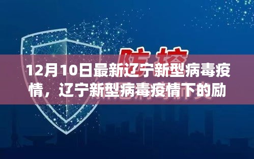新闻动态 第217页