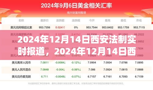 寥若晨星 第3页