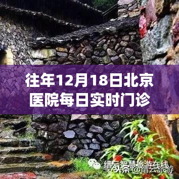 运输网络 第175页