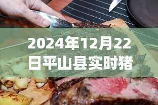 运输网络 第162页