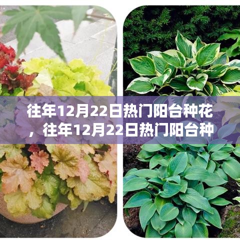 联系我们 第160页