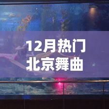 公司简介 第149页