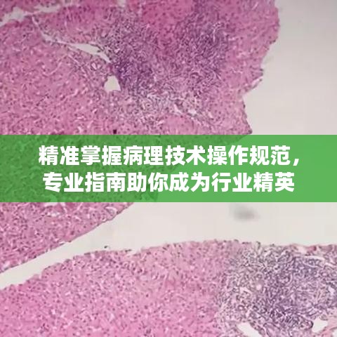 衣不曳地 第3页