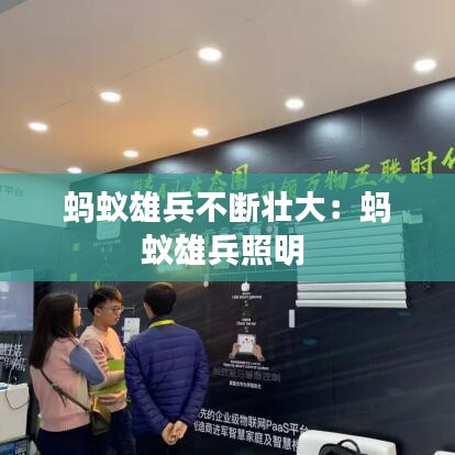蚂蚁雄兵不断壮大：蚂蚁雄兵照明 
