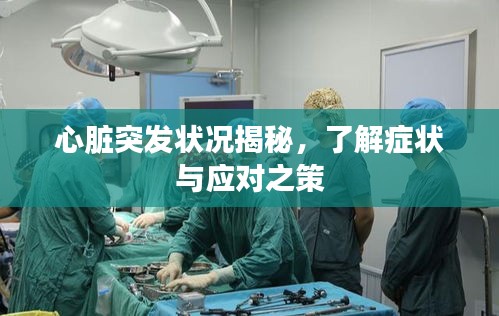 新闻动态 第137页