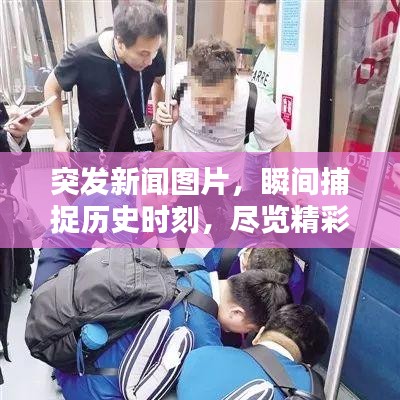 独学寡闻 第3页