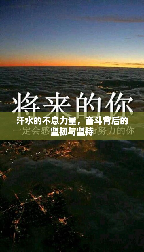 新闻动态 第133页