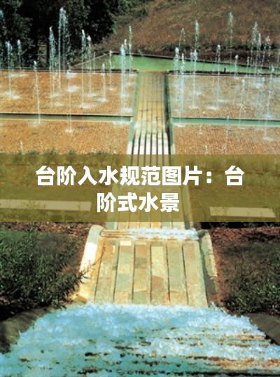 资料中心 第127页