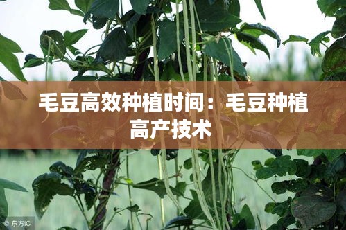资料中心 第102页