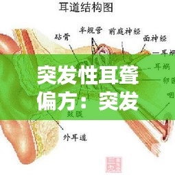 联系我们 第91页