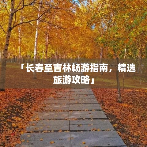虎视眈眈 第2页