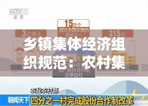 乡镇集体经济组织规范：农村集体经济组织相关制度 