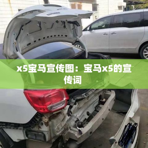 漫天飞舞 第2页