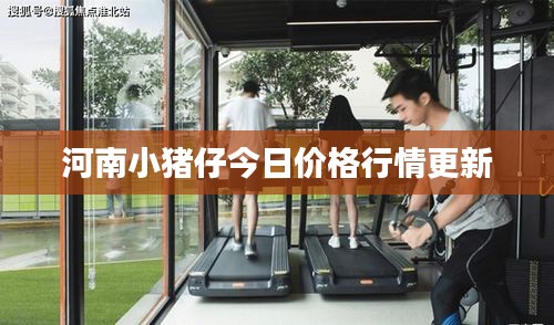 雍容典雅 第2页