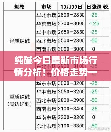夫妻本是同 第2页