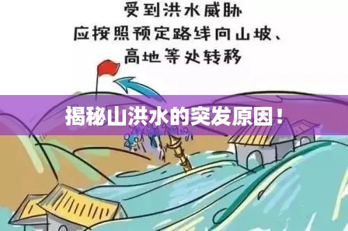 明眸皓齿 第2页