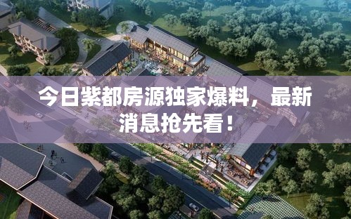 公司简介 第53页