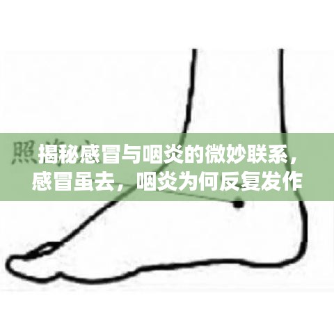 厂房环境 第53页