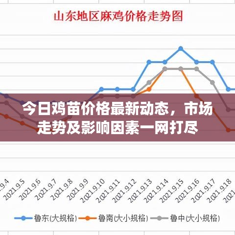 全神贯注 第2页