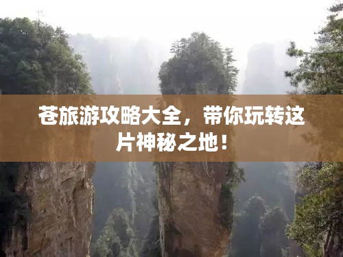 公司简介 第29页