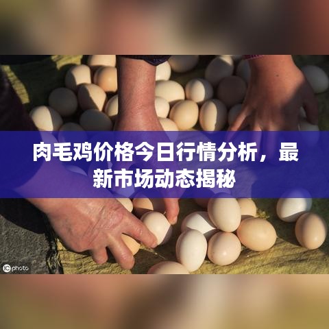 联系我们 第28页