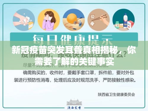寥寥无几