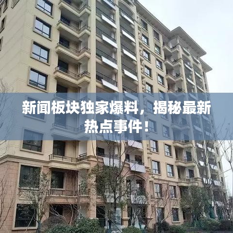 公司简介 第22页