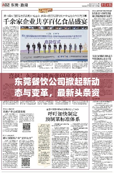 联系我们 第8页