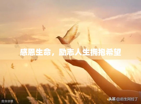 草草收兵