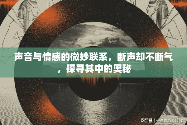 联系我们 第6页