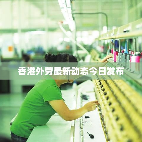 丢三拉四
