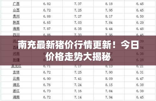 杳无音讯
