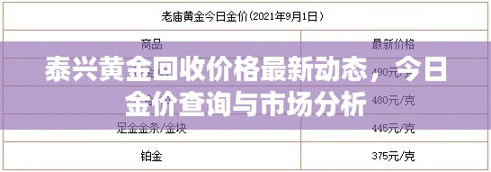 怀真抱素