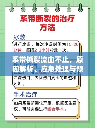 2025年5月10日
