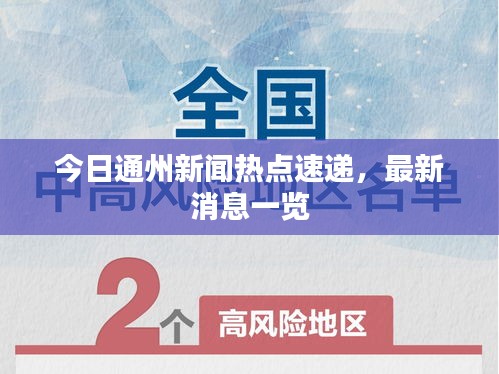 鸟穷则啄