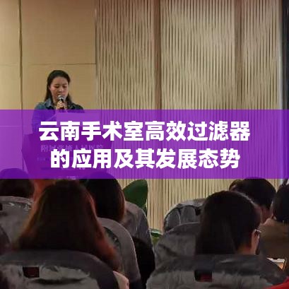 飞扬拨扈