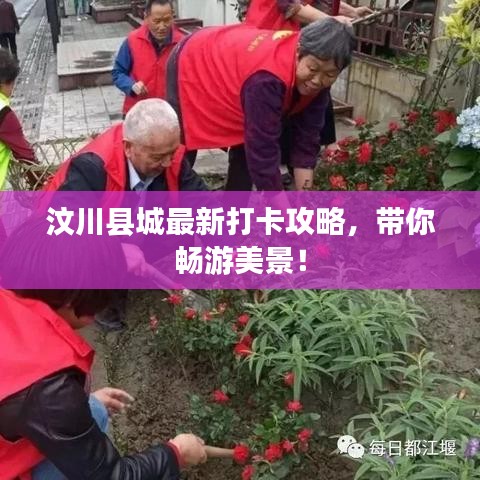 朴实无华